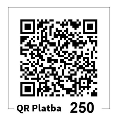Palba-rozvoj-QR-250Kc.jpg