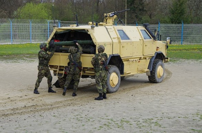 dingo_strakonice.jpg
