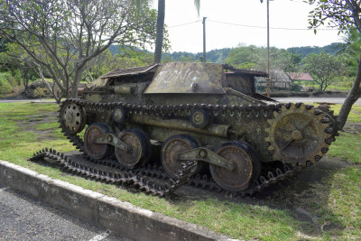 556.jpg