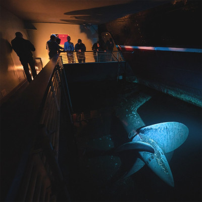 Queen-Mary-propeller.jpg